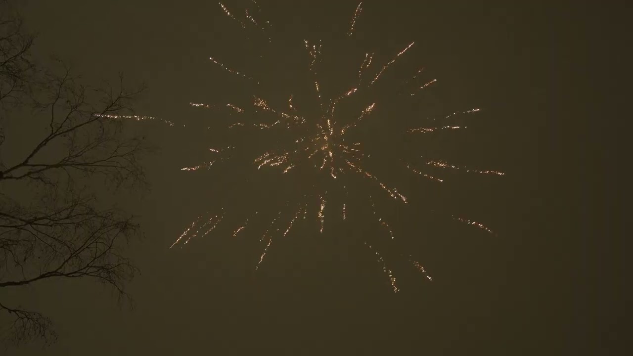 Svea Fireworks, Goldbar (x2) - Nyår / New year 2025