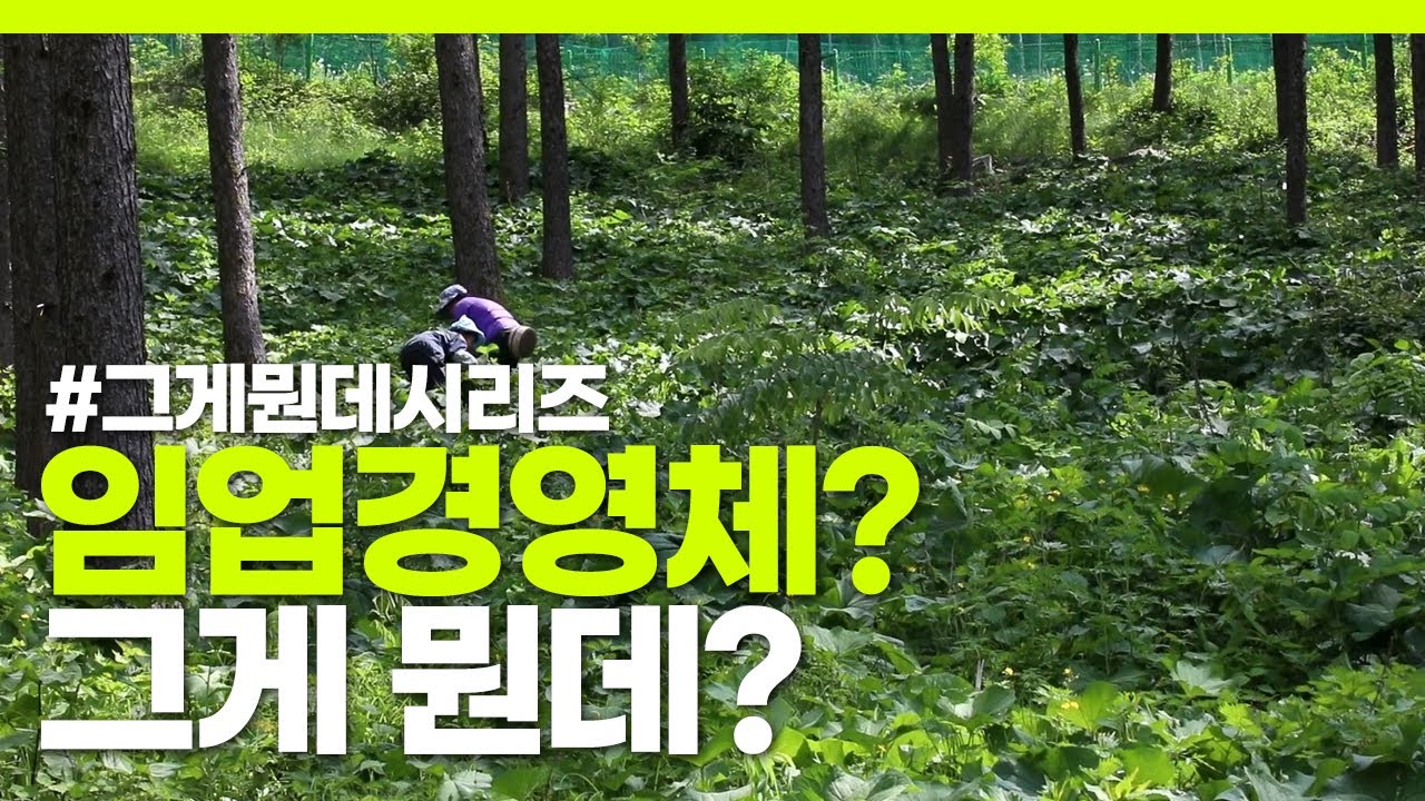 [#그게뭔데 ③​] 임업경영체? 임업경영체 등록하고 혜택받아가세요.