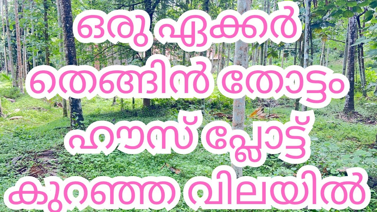 മലപ്പുറം ജില്ലയിൽ തെങ്ങിൻ തോട്ടം കുറഞ്ഞ വിലയിൽ ഹൗസ്പ്ലോട്ടും
