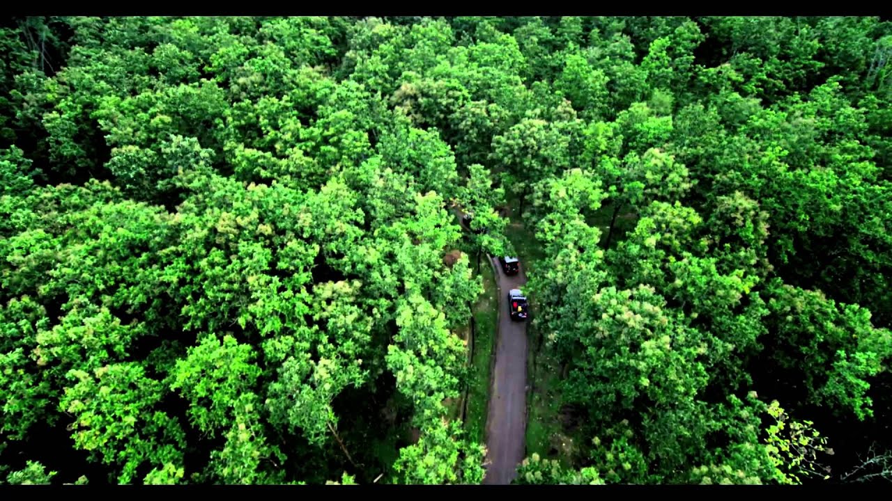 Mahindra Live Young, Live Free