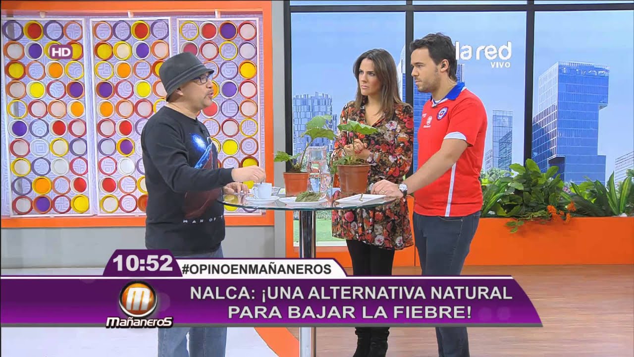 Los beneficios de la nalca que alivia los dolores menstruales
