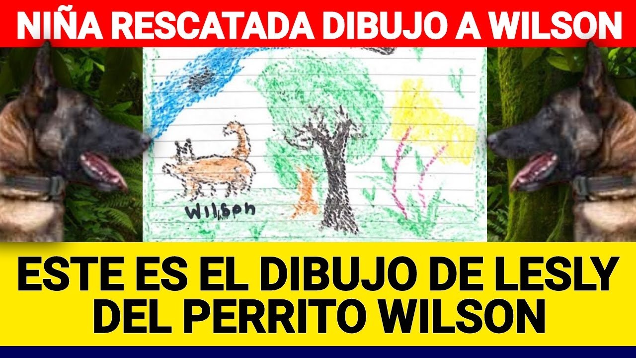 Ni&ntilde;a rescatada dibujo al perrito Wilson que a&uacute;n se encuentra perdido en la selva