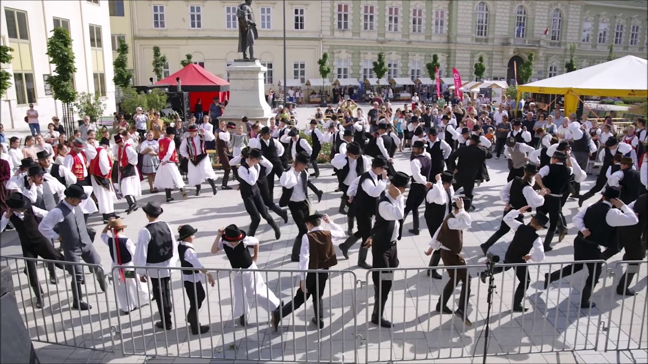 Vasi Megyenap - A gencsi verbunk