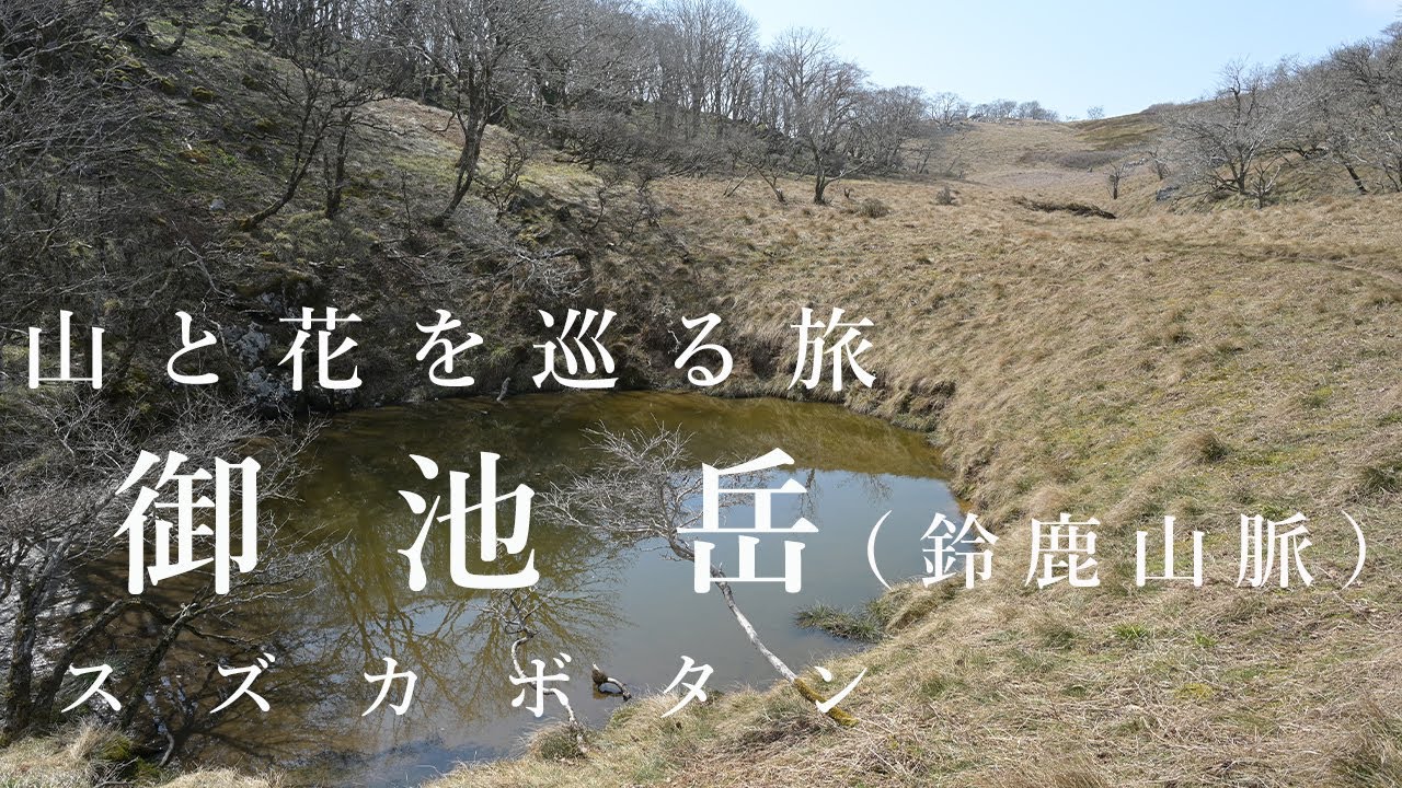 【登山】御池岳（鈴北岳周回ルート）早春の鈴鹿山脈最高峰の山に登ってきました