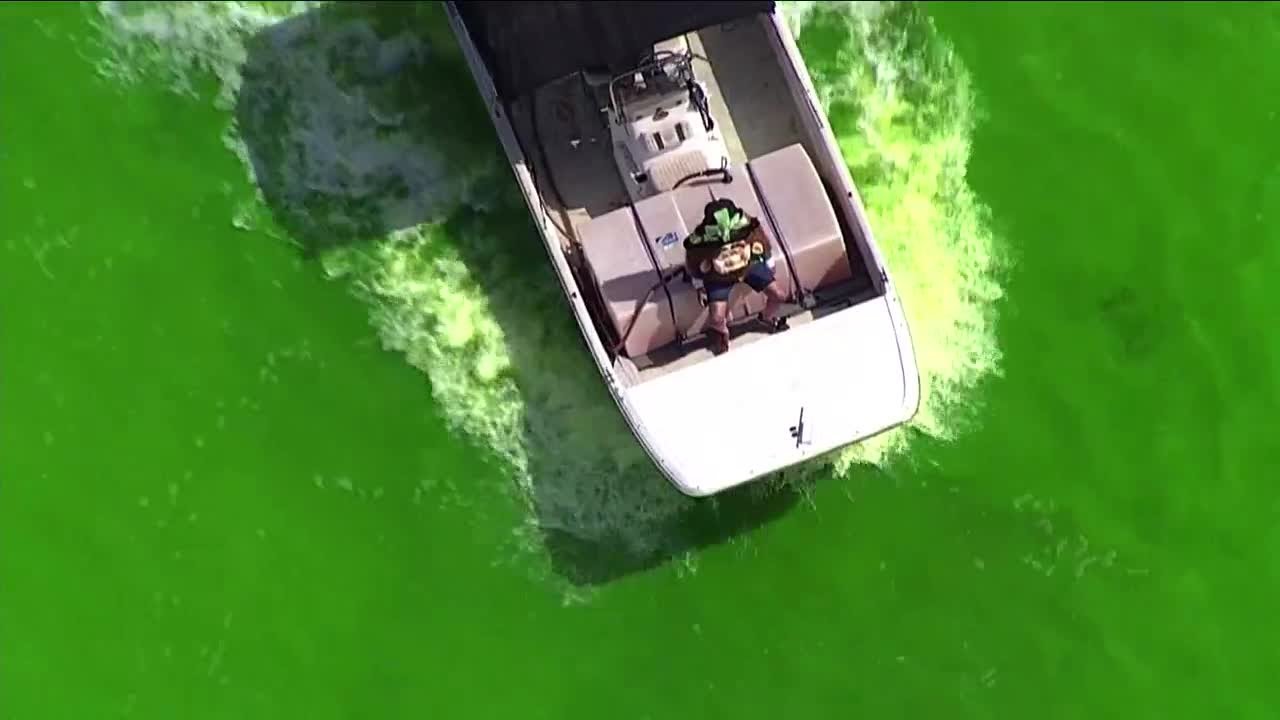 Free St. Patrick's Day celebrations across the Tampa Bay area