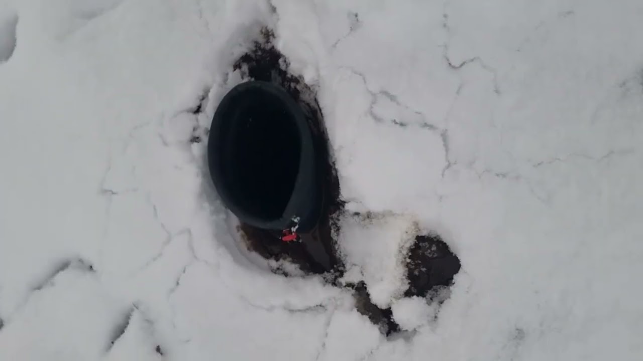 Snowy and Muddy Dunlop Blizzards