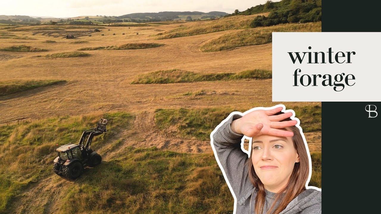 Making hay whilst the sun shines