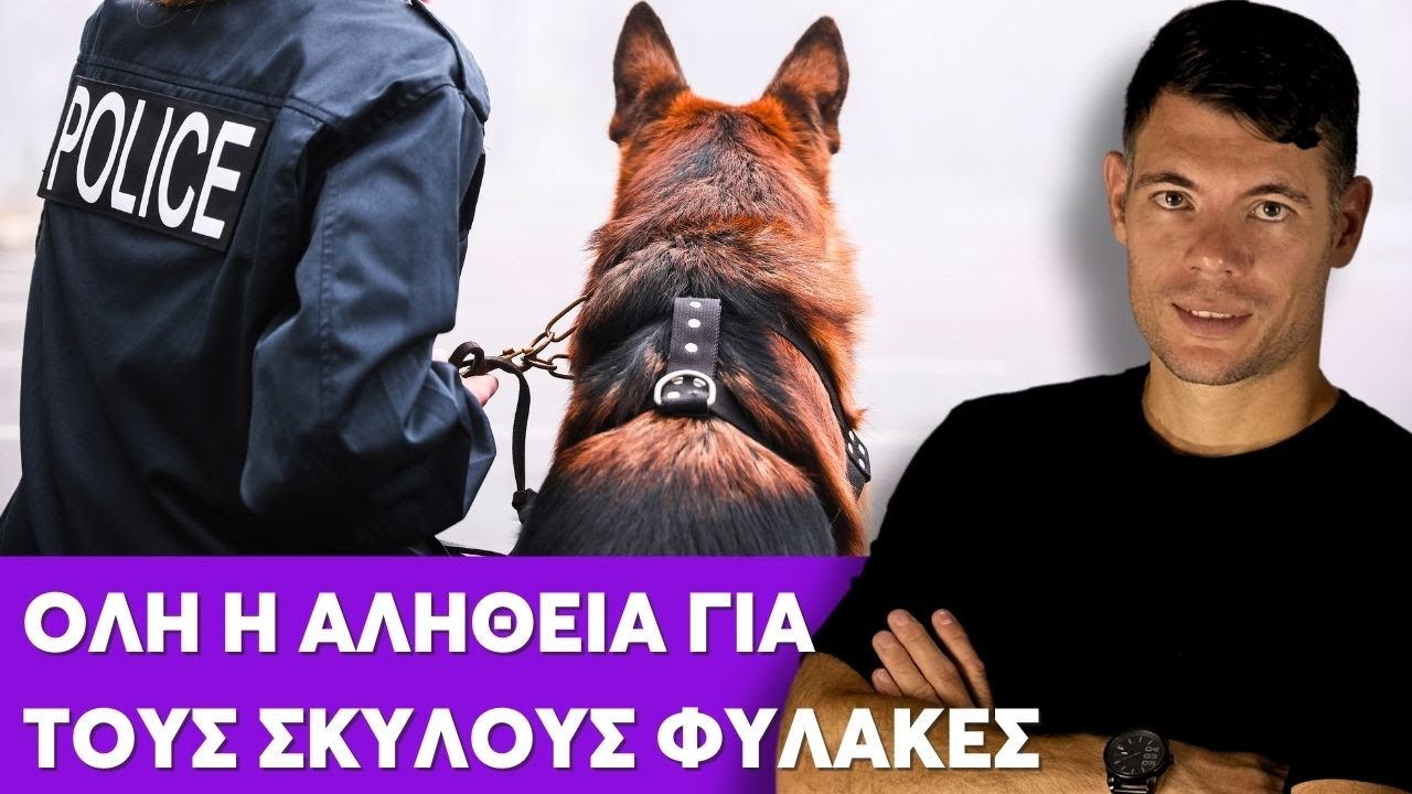 Όλη η ΑΛΗΘΕΙΑ για τους Σκύλους Φύλακες