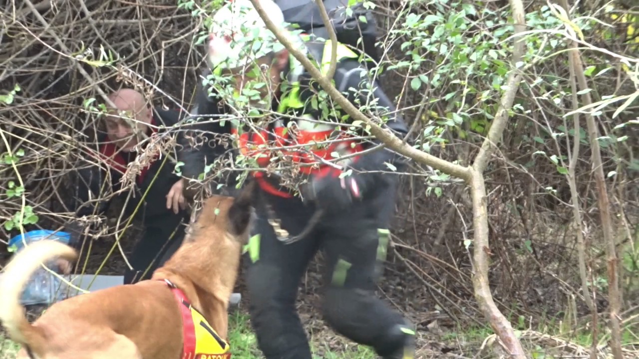 Esercitazione ricerca dispersi in superficie Nadir S.O.S. Langhirano 13 novembre 2017