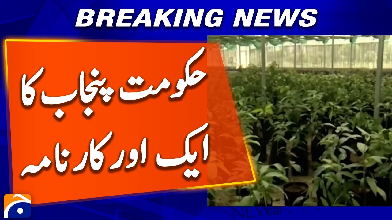 Another Initiative by the Punjab Government: Affordable Plants for Gardeners