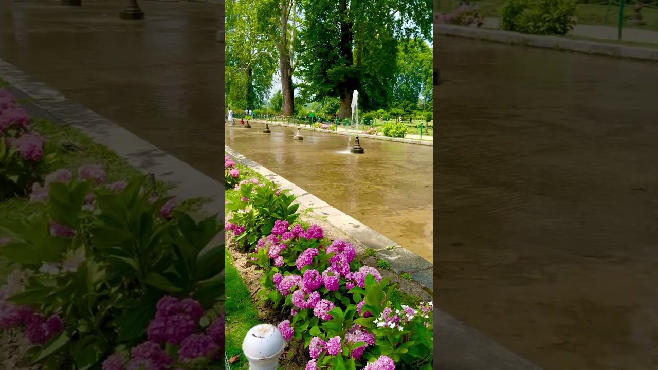 Shalimar Garden Srinagar #Kashmir #nature #naturelovers #jammukashmir #touristplaces