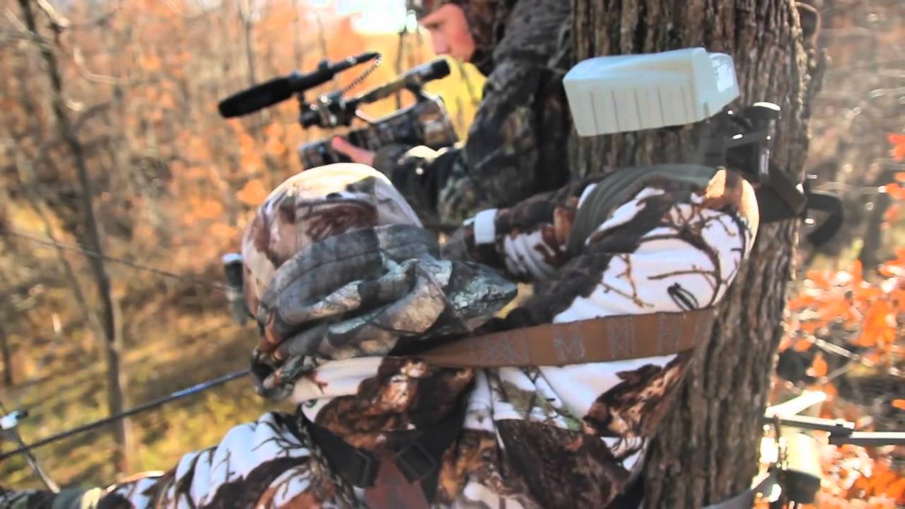 Predator Control and Deer Hunting - The Management Advantage #17