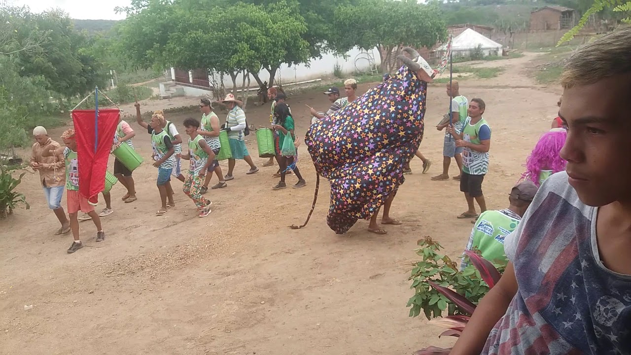 Boi de carnaval