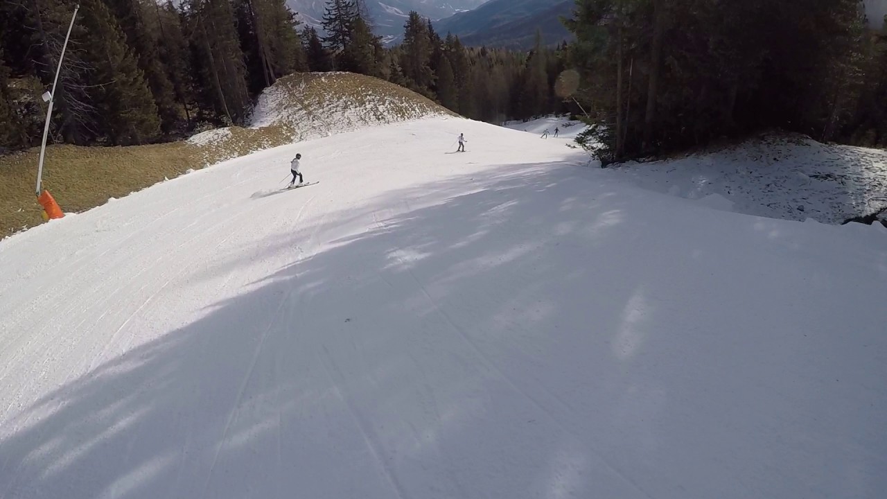 Tofanina Socrepes Cortina