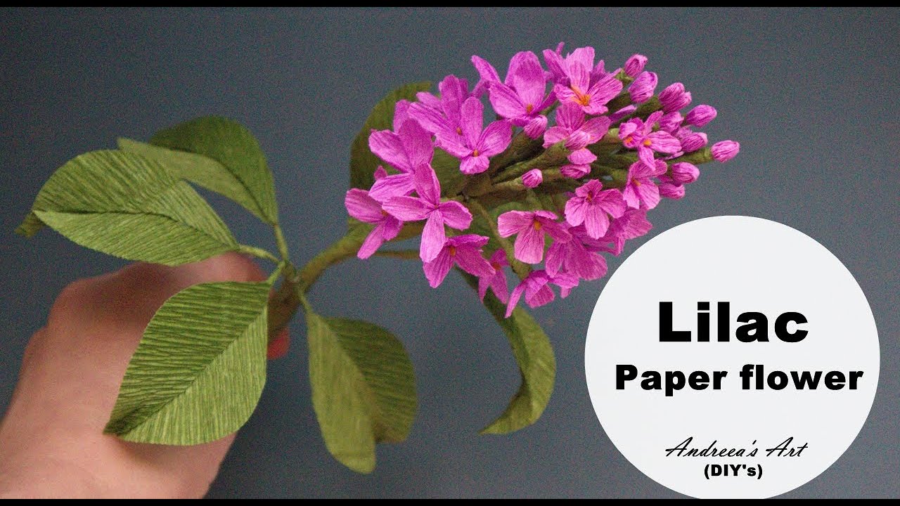 Cum sa faci liliac din hartie creponată How To Make Lilac Paper Flower