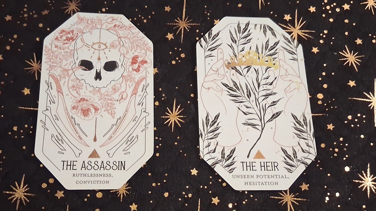⚔️The Assassin vs The Heir👑. They want your life so bad, its going to K!LL them! #seer #fyp