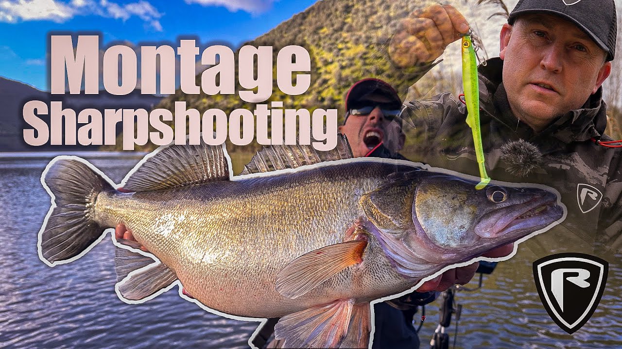 Montage Sharpshooting Slick fast #foxrage