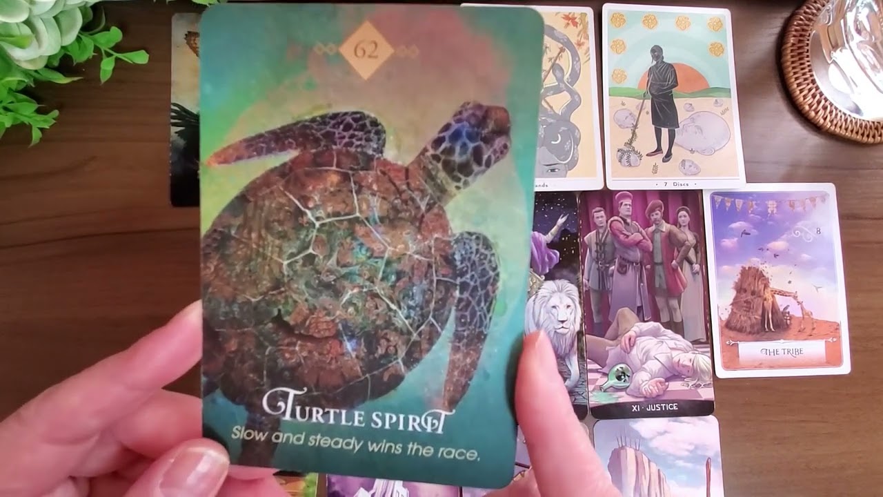 【 終わりを迎えることとなる 】カードリーディング｜選択式｜個人鑑定のようなスタイル｜Timeless Reading | Tarot | 人生相談 |