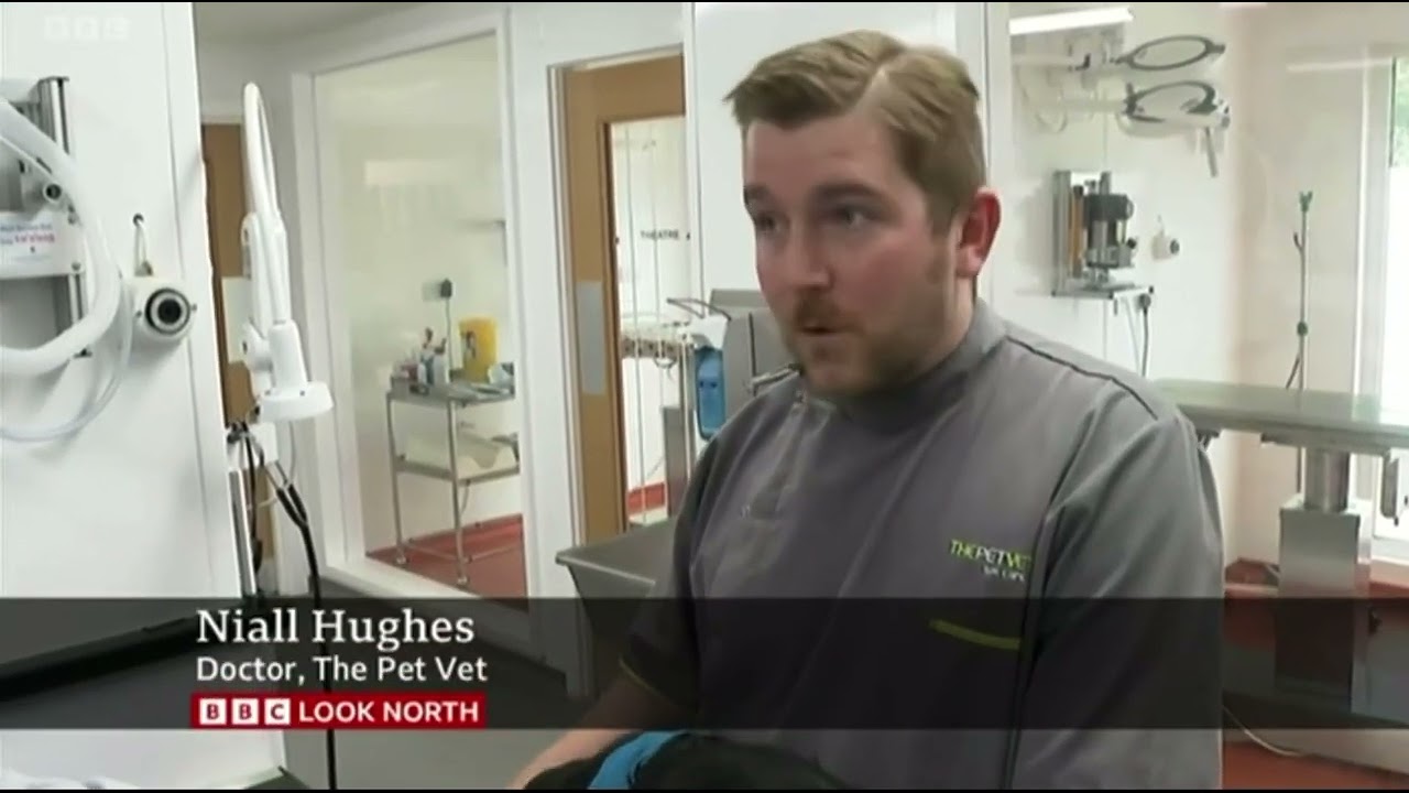 BBC Look North 14th July 2022   How to keep your pets safe during the heatwave