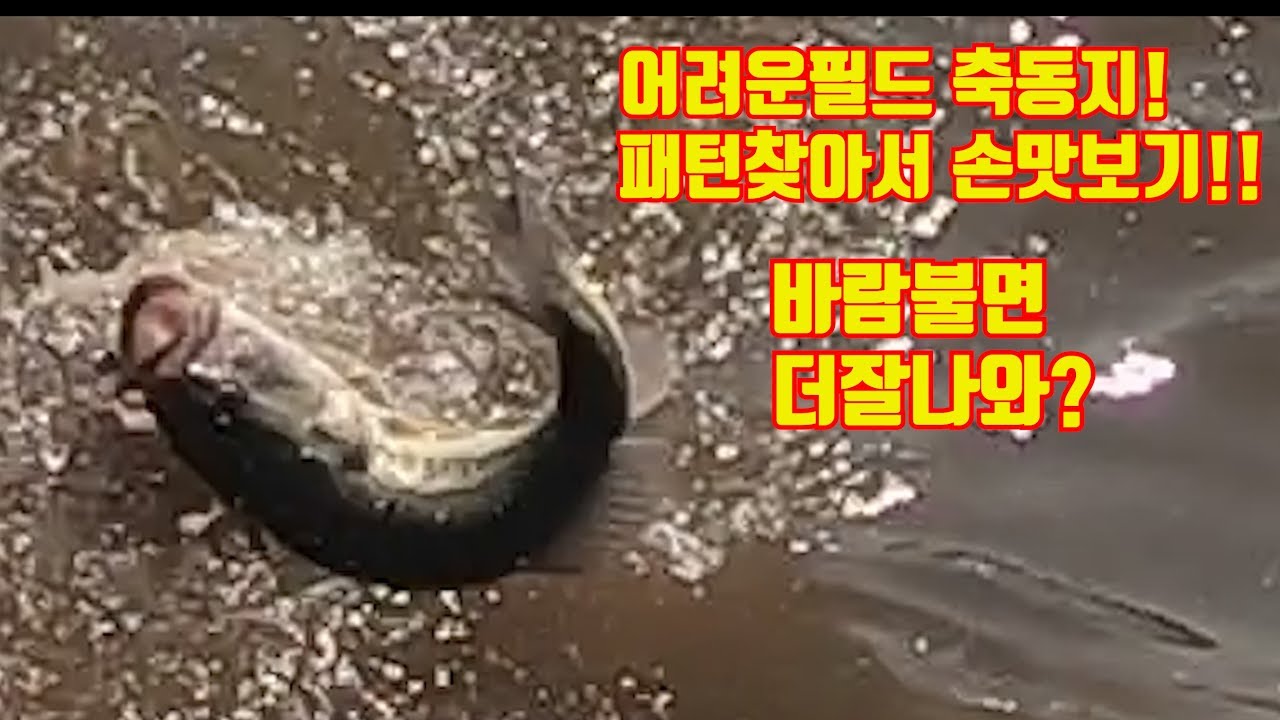 어려운필드 축동저수지! 공략법을 찾은것 같습니다!?4짜마릿수 손맛보기^^