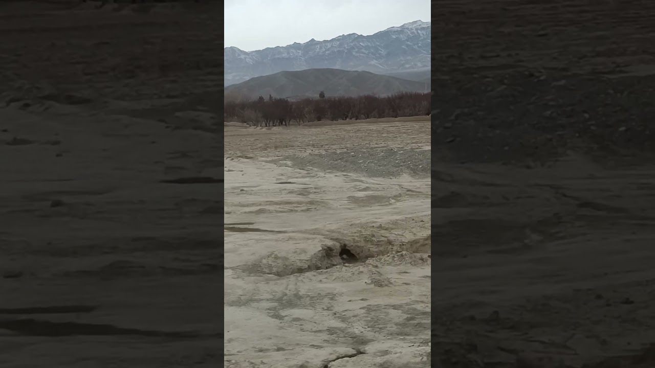 اللہ جس کا چاہتا ھے رزق فراخ کر دیتا ھے 