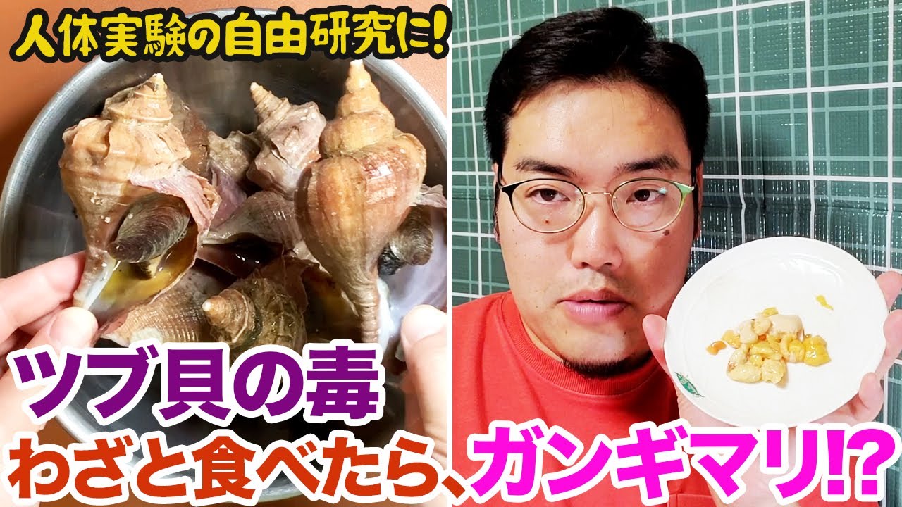ツブ貝の毒をわざと食べたら、ガンギマリ!?