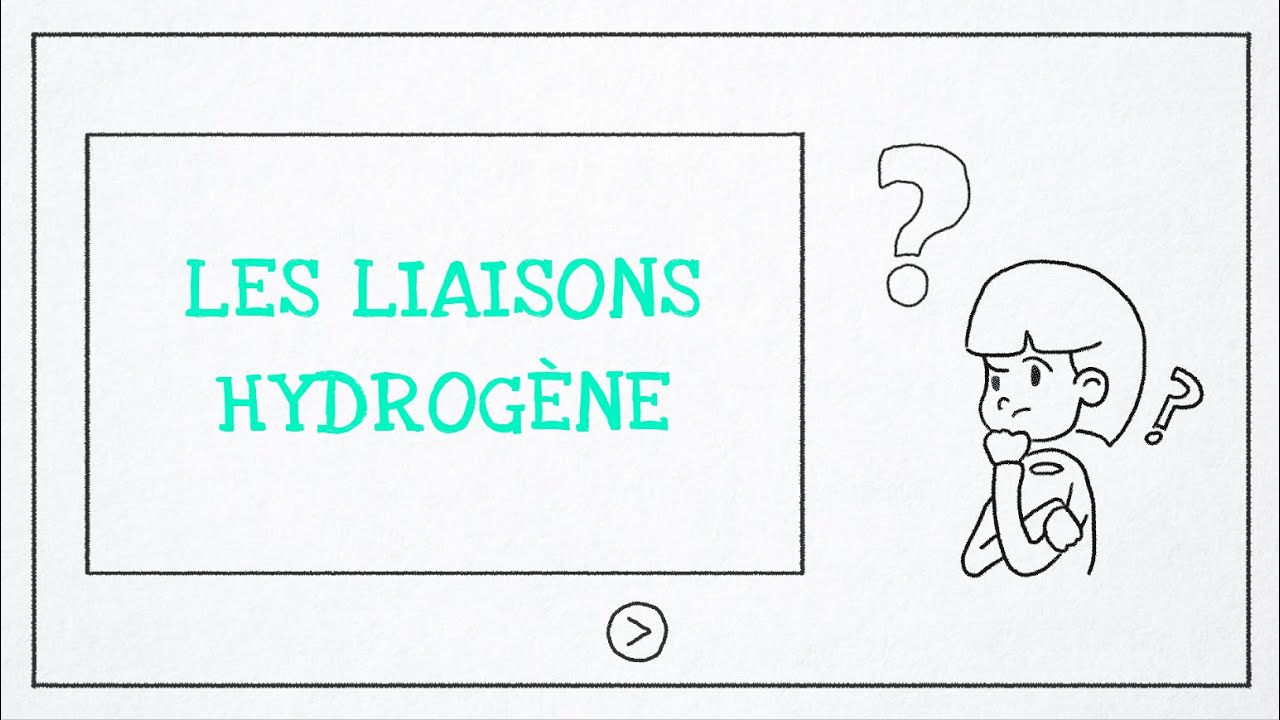 Les liaisons hydrog&egrave;ne