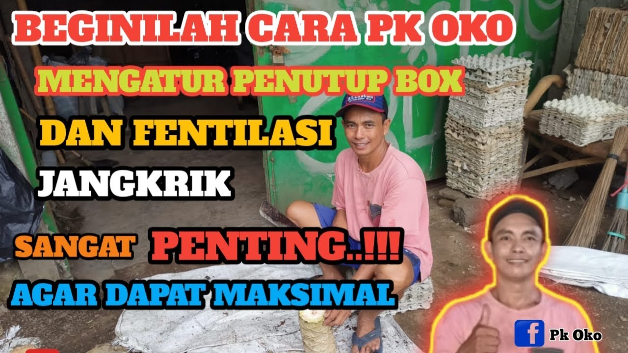 Cara Mengatur Buka Tutupan Atau Fentilasi Plastik Jangkrik Alam 😁👍👍