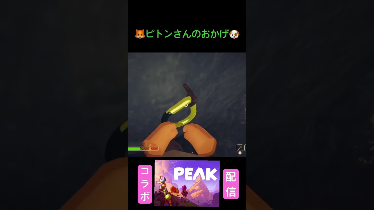 【コラボ配信切り抜き】ピトンさんとおかげ【PEAK】 #ゲーム配信 #初心者 ＃PEAK