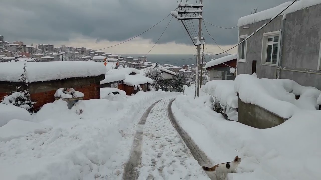 zonguldak ta etkili karyagası