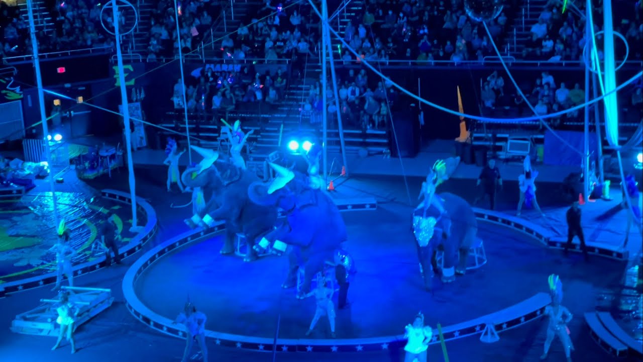 First time at the circus! Elephants Camels & More at Jericho Shriners Circus Live 2021.