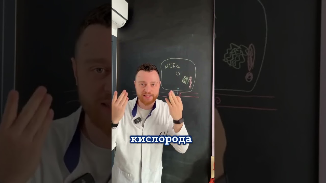 Эндокринология || Адипоцит