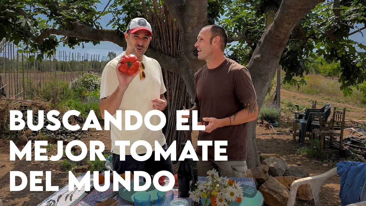 Probando tomates como nunca antes: Julio cultiva más de 43 variedades 