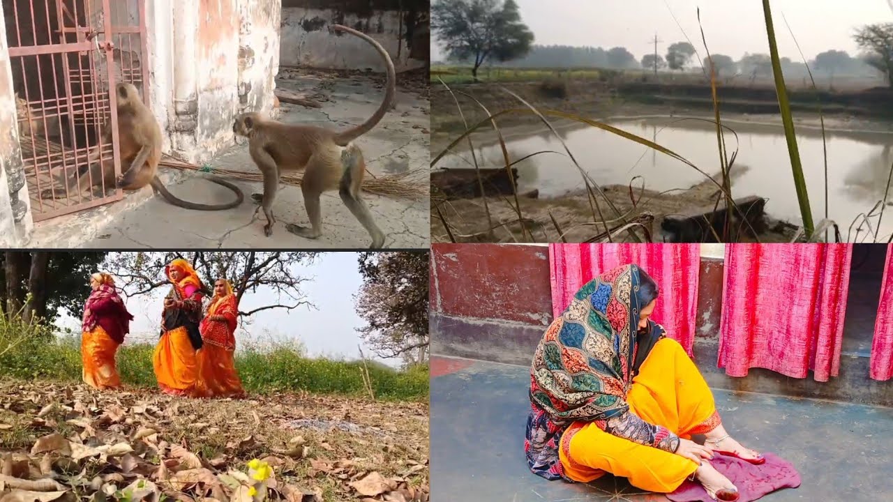 आज बसंत पंचमी के दिन हमने अपने गाँव के प्राचीन मंदिर में पूजा की और गौरा माता से सुहाग लिया ✨️