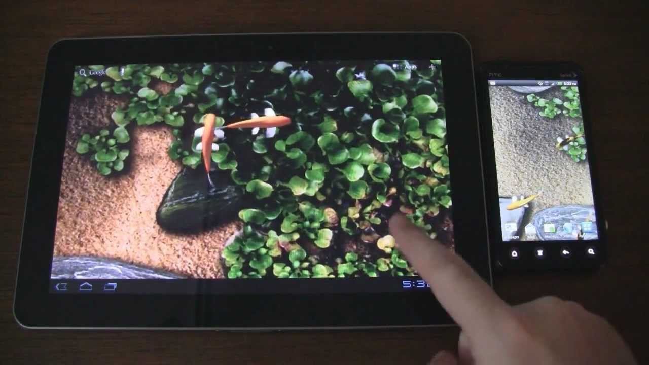 Koi Live Wallpaper by Kittehface (reviewed on Android tablet & smartphone)