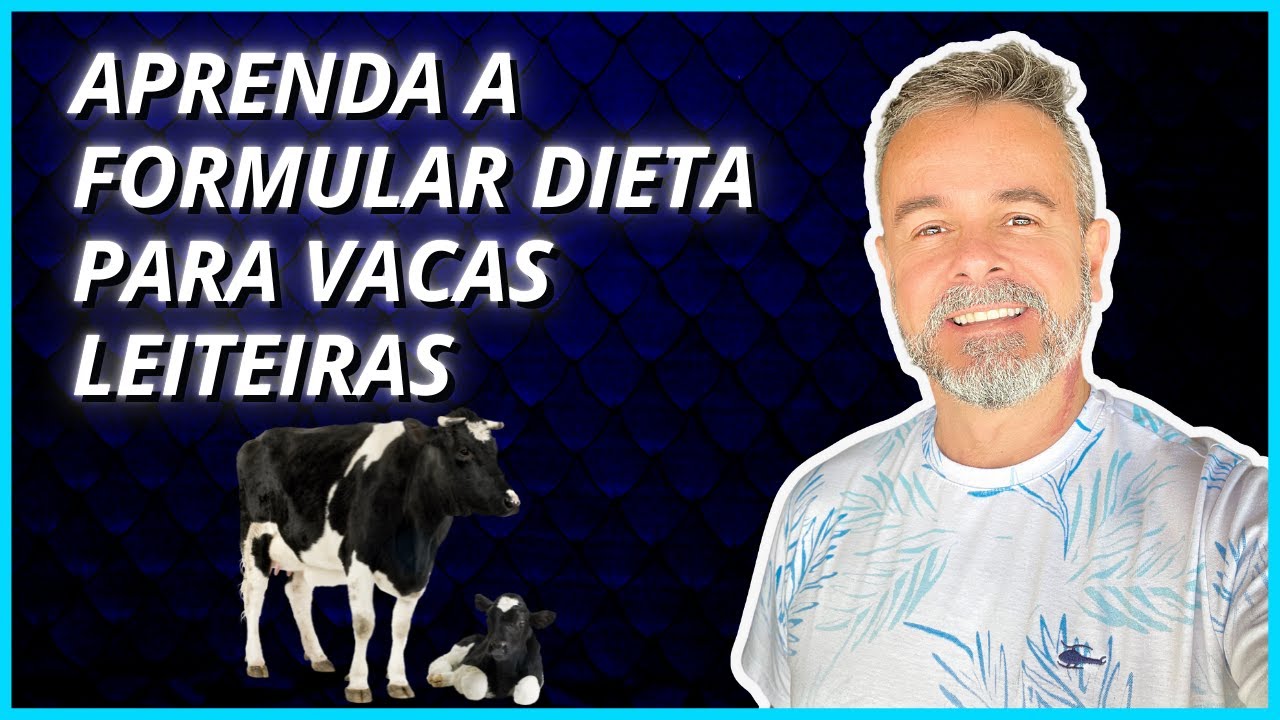 Formulação de ração para vacas leiteiras