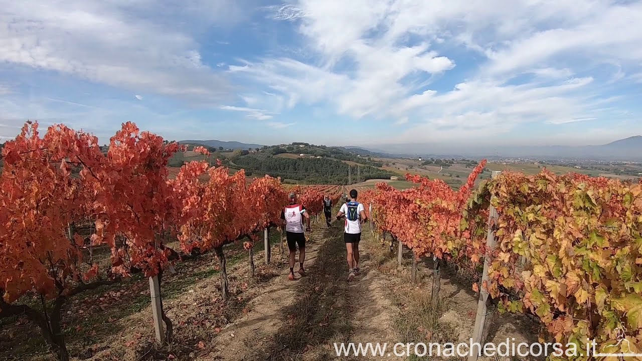 Sagrantino Running
