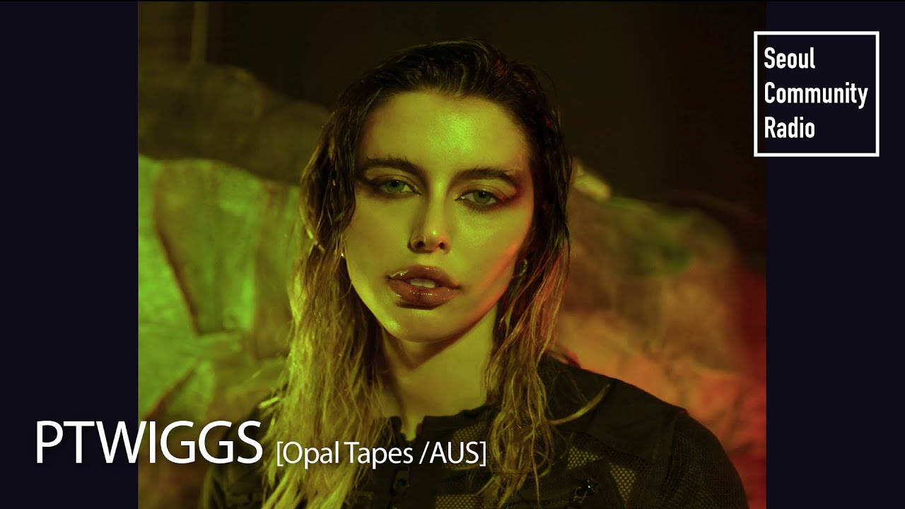 Ptwiggs [Opal Tapes] DJ Set on Seoul Community Radio