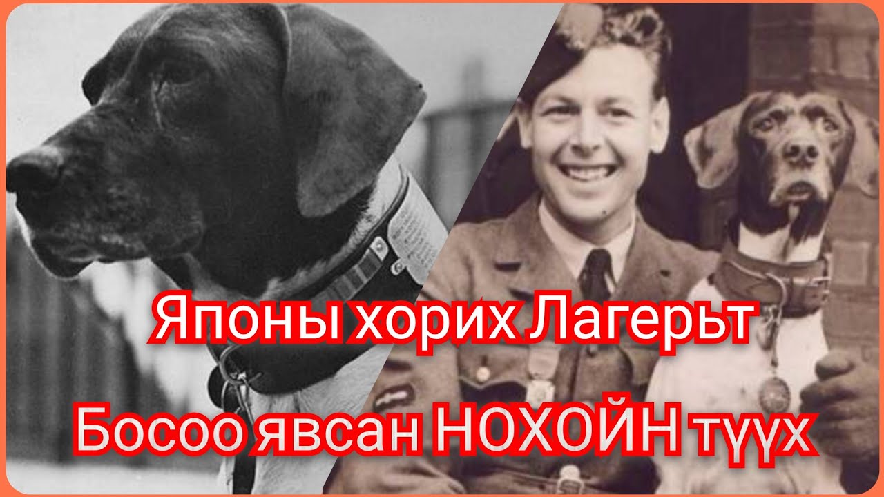 Жуди нохойны Гайхамшигтай түүхүүд Парт 1 Дэлхийг донсолгосон Гоё түүхүүд цувралаас монгол хэлээр 