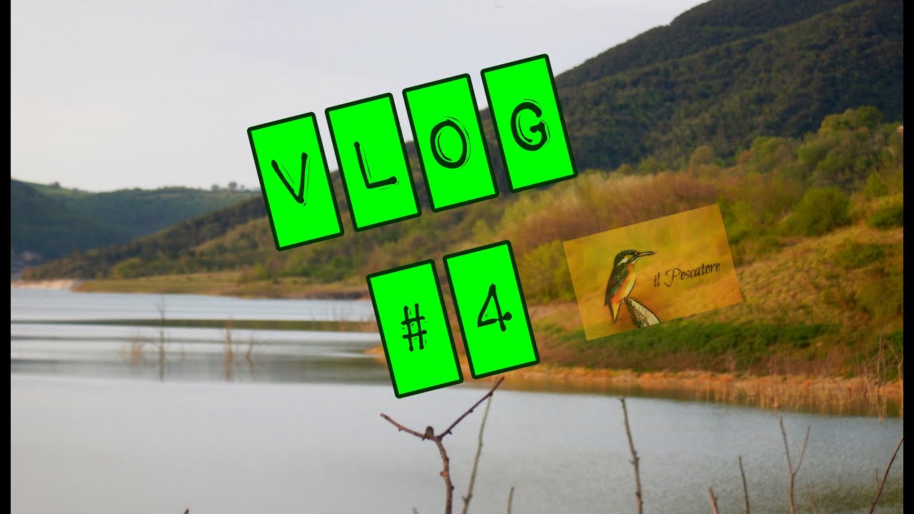 VLOG #4 Stalking in diga - Carpfishing alla Diga di Cingoli
