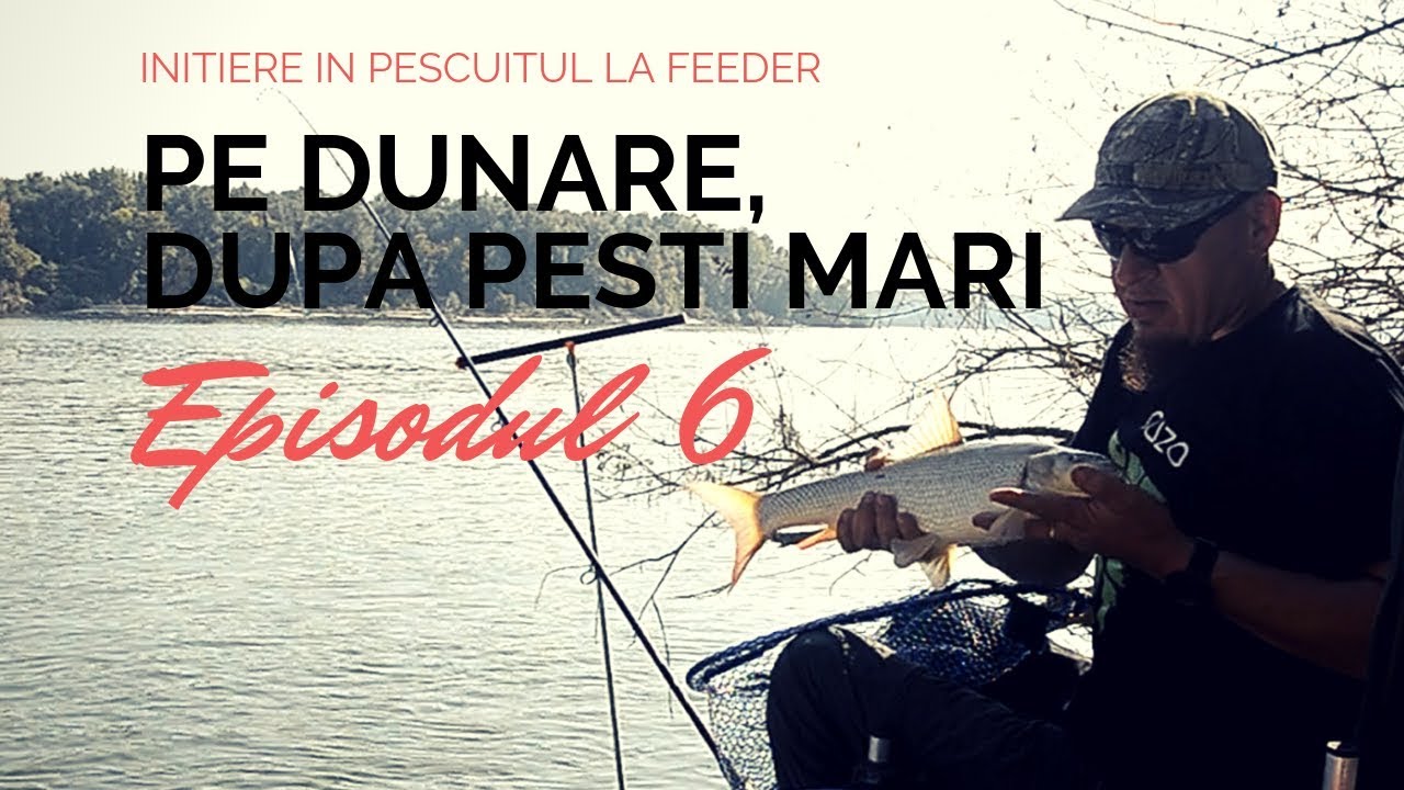 La feeder pe Dunare,  dupa peste mediu si mare