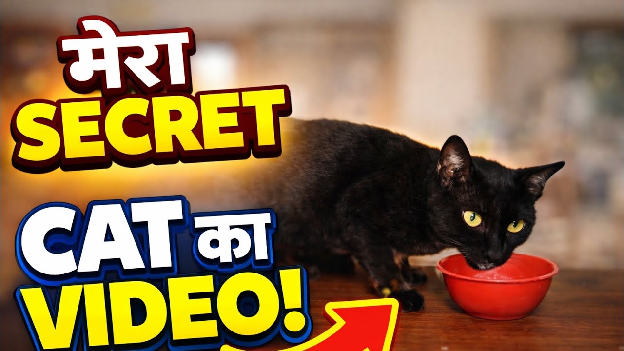 Black Cat Ka Cute Moment 🐱💖 | Viral Video