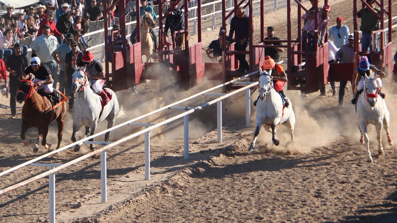Carreras de Caballos en Empalme, Sonora 15 de Febrero 2026