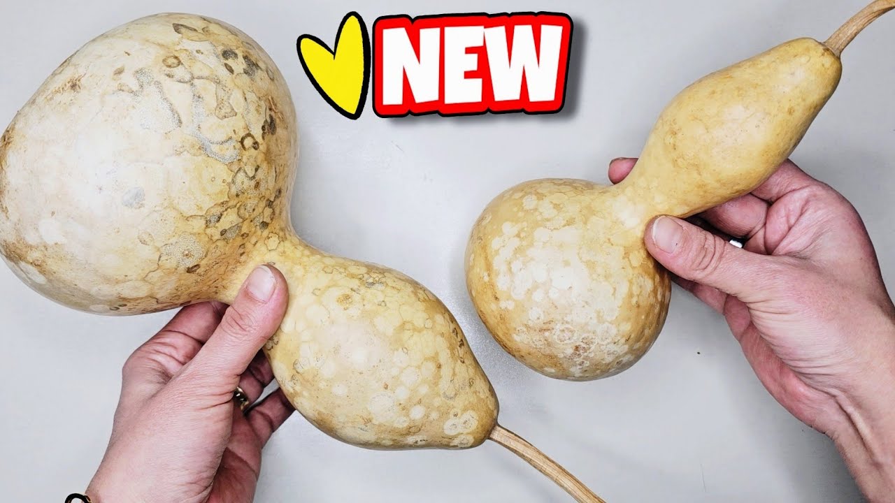 Очень мило! 😮🤑 Идея сделать и продать с сушеными тыквами ♻️👍