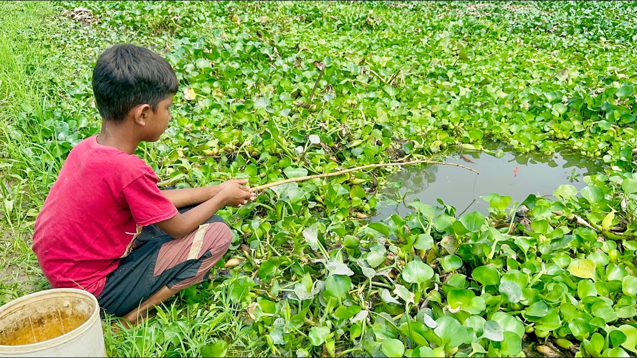 Village Little boy hunting catching fish by rod ~ Traditional hook fishing in the village canal 🥰🥰