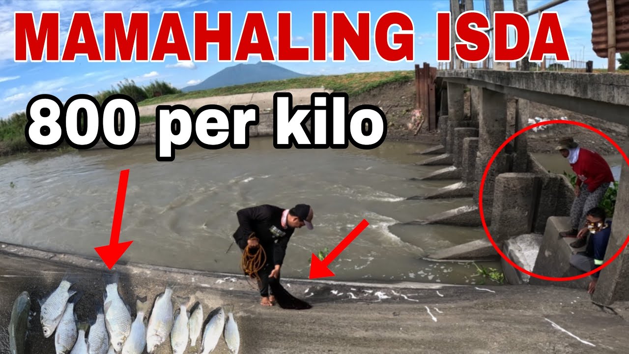 SINUGOD AT NAPATINGIN SILA SA MGA MAMAHALING ISDANG NAHULI KO?