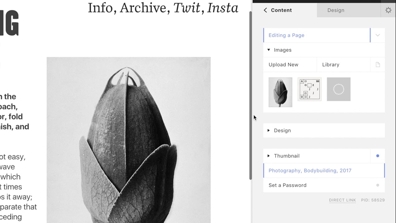Cargo Basics &ndash; Editing Content