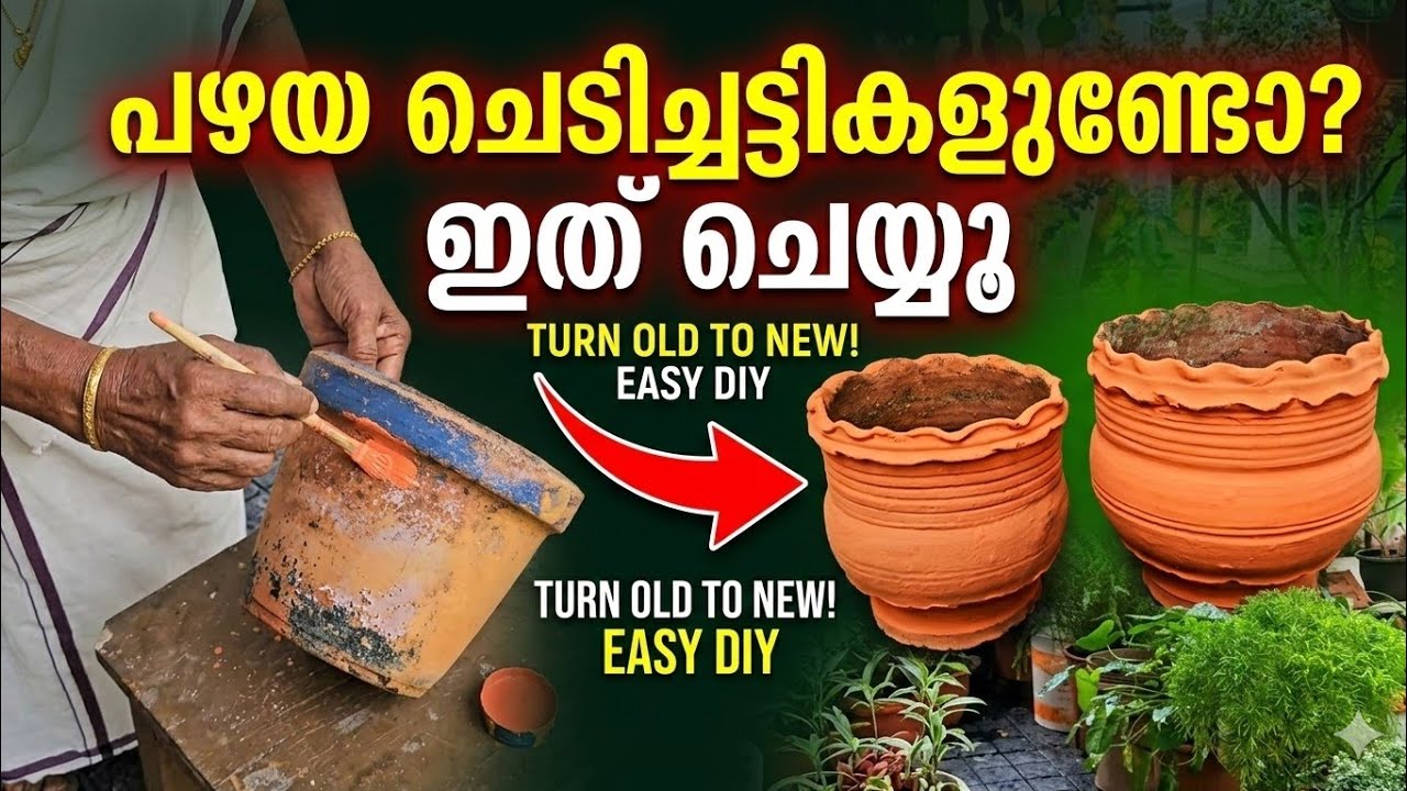 പഴയ ചെടിച്ചട്ടികൾ എളുപ്പത്തിൽ പുതിയവ ആക്കി മാറ്റാം#gardening #garden #plantpots 