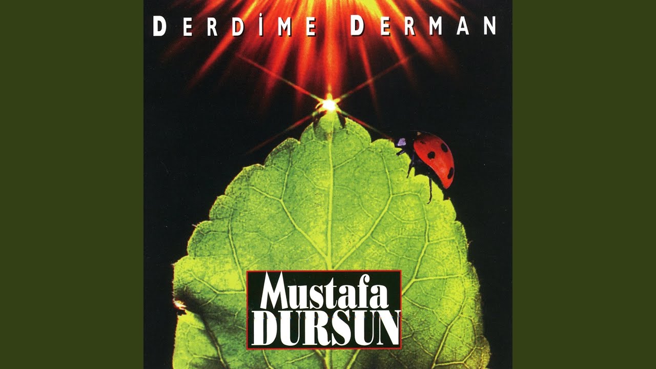 Ateşi Aşk