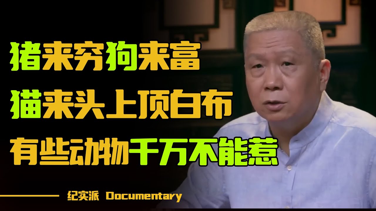 俗话说“猪来穷狗来富，猫来头上顶白布”，养宠物的家庭需要注意些什么？#圆桌派 #许子东 #马家辉 #梁文道 #锵锵行天下 #观复嘟嘟 #马未都